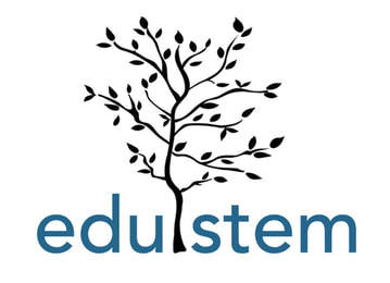 image-edustem